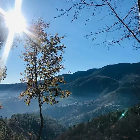 Casa Do Avô Patrício Mountain Experience Parada (Vila Real)